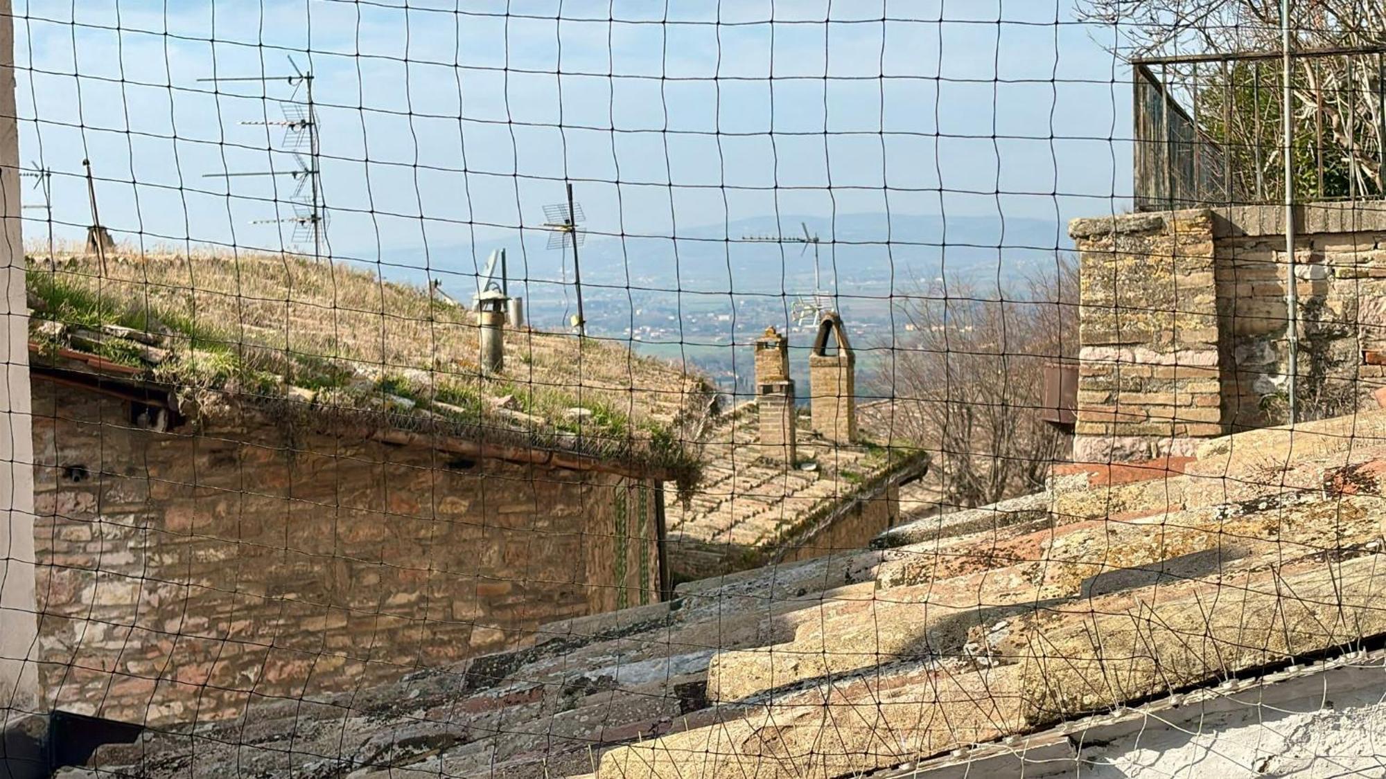 Dila Assisi Rooms Εξωτερικό φωτογραφία